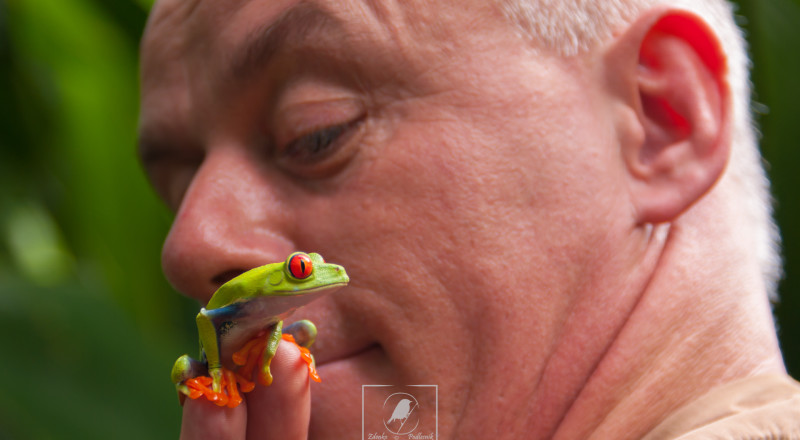 Costa Rica animals 9239