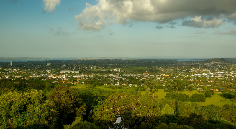 newzeland 10