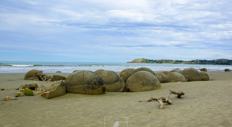 newzeland 110
