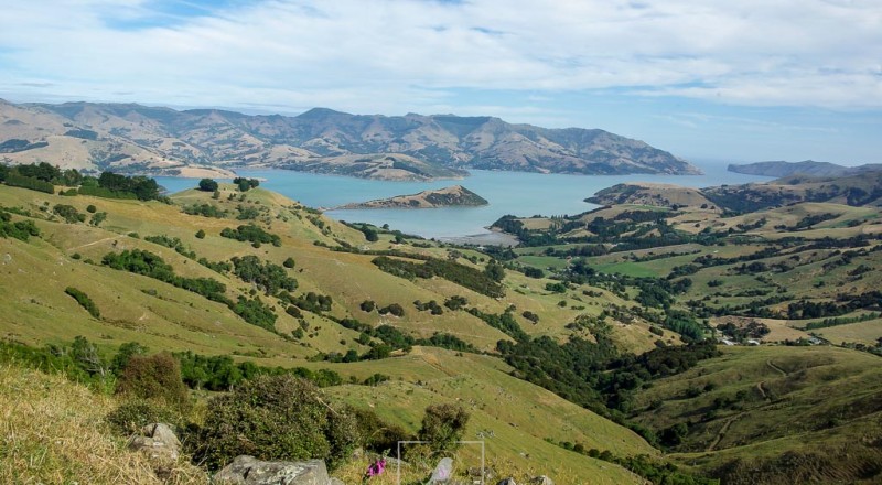 newzeland 119