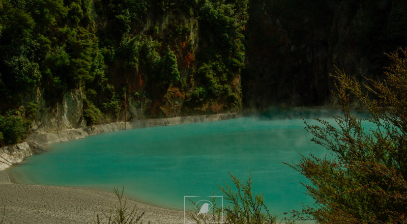 newzeland 17