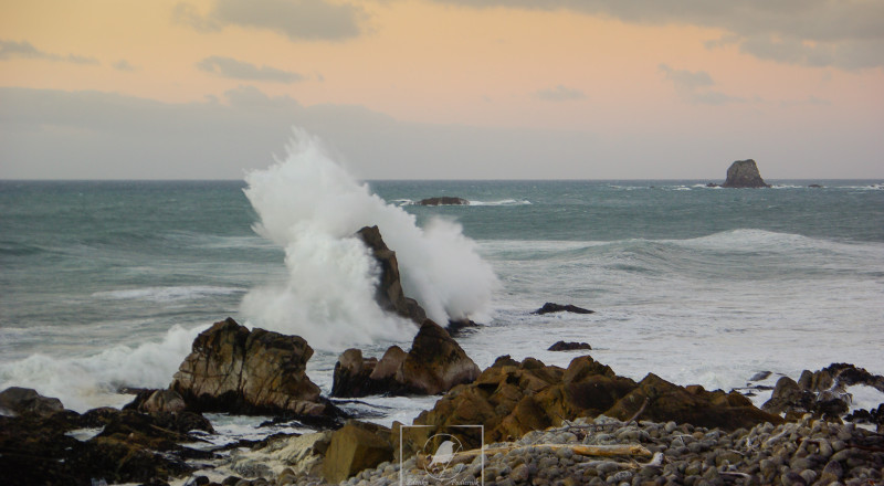 newzeland 19