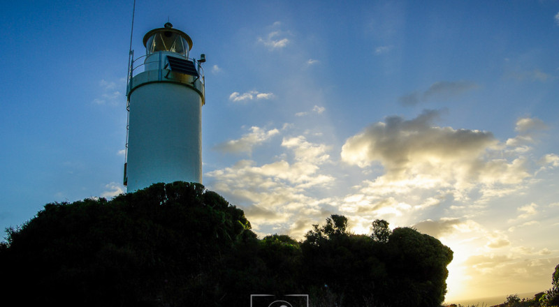 newzeland 26