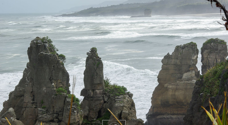newzeland 34