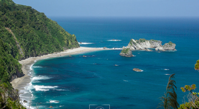newzeland 55