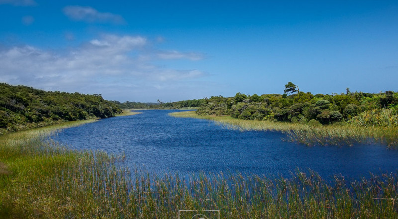 newzeland 64