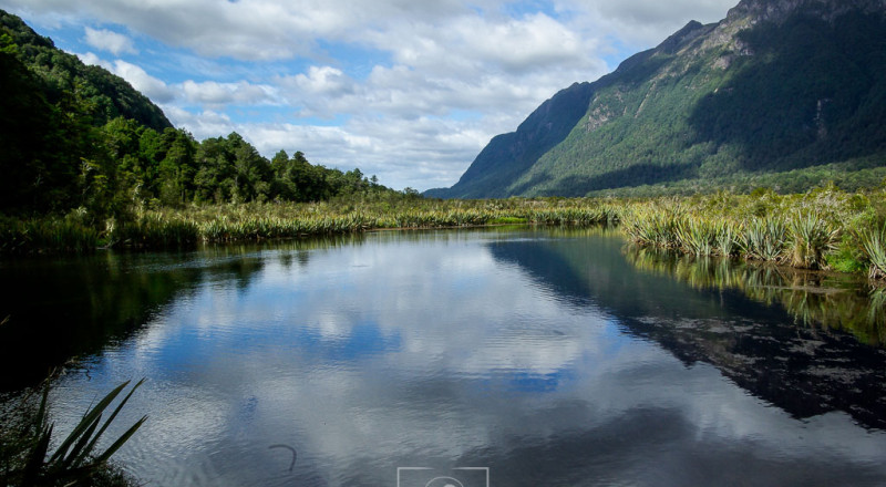 newzeland 73