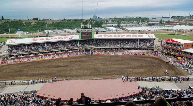 rodeo calgary 1 14