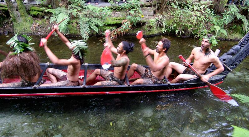 people in nz 4
